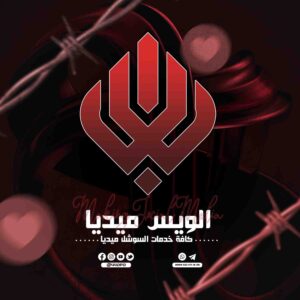الويس ميديا